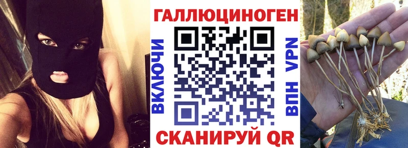 Галлюциногенные грибы мицелий  Купить  Чёрмоз 